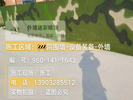 朝阳 迷彩漆喷涂价格（按平方米计费）